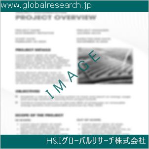 グローバルリサーチ調査資料のイメージ